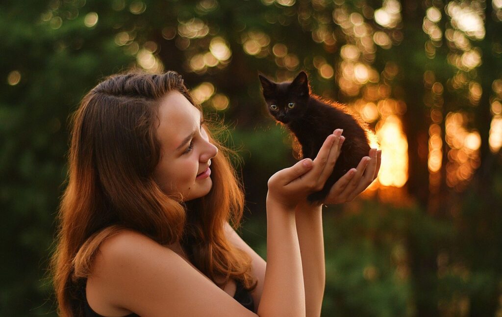 evening, kitten, woman