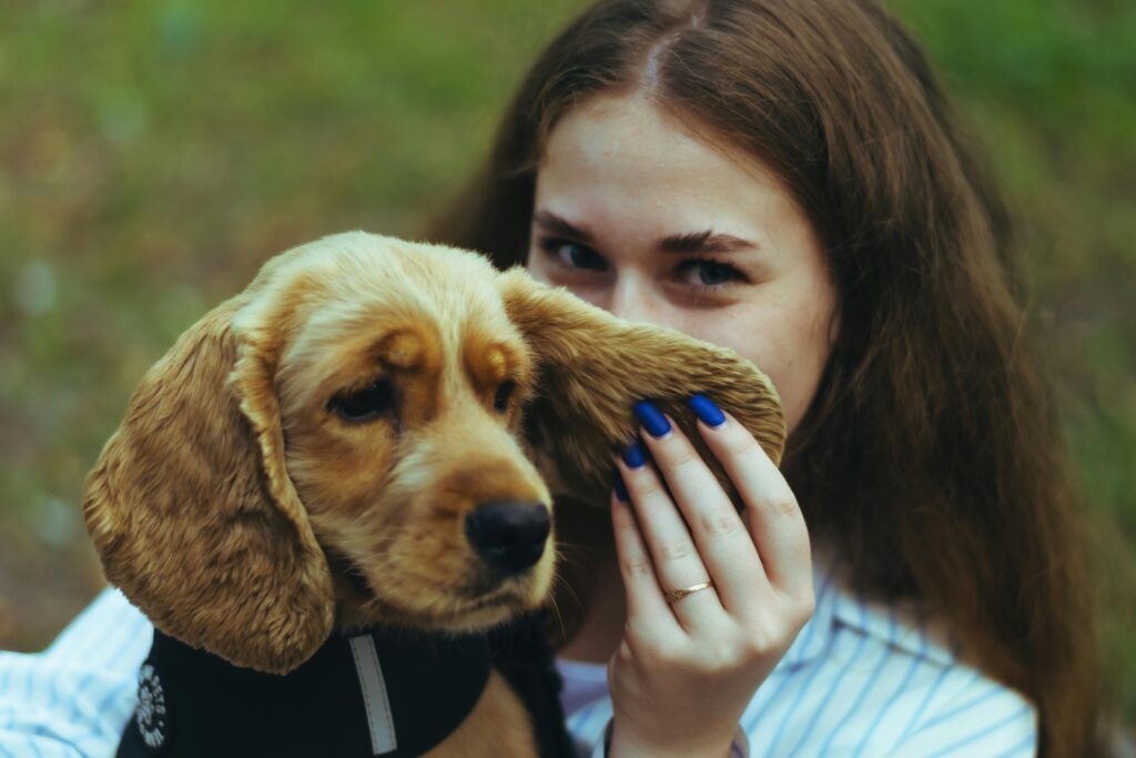 Young woman playfully holding her Cocker Spaniel puppy's ears outdoors.