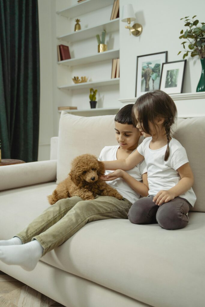 Two children sitting on a sofa playing with a brown puppy indoors, showcasing family bonding and togetherness.